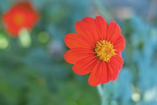 迷安全的必 迷安全的必