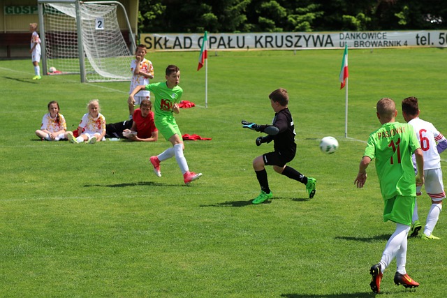 的志愿活动 的志愿活动