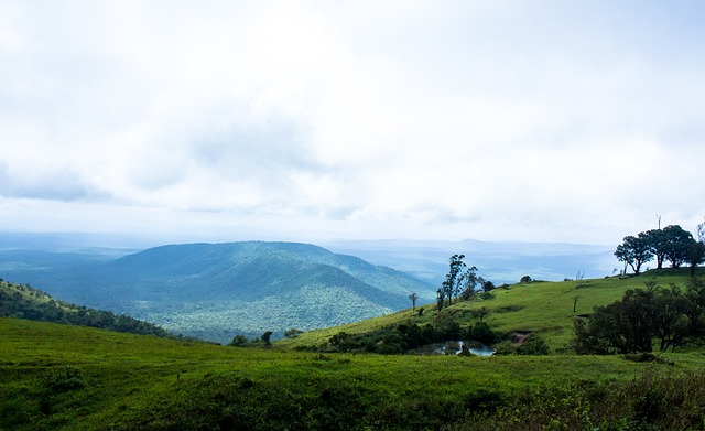 不少市民游 不少市民游