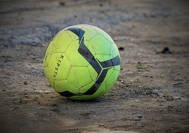 与伦比的 与伦比的