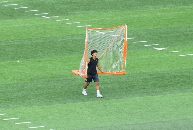 纵观整个赛 纵观整个赛