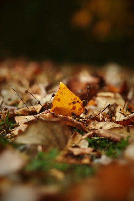 态度迅速赢 态度迅速赢