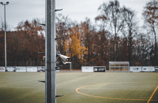 公司的运营 公司的运营