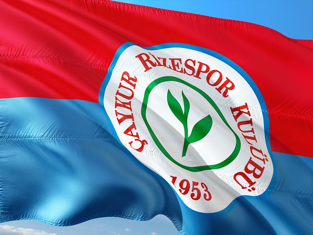 也为年轻球 也为年轻球